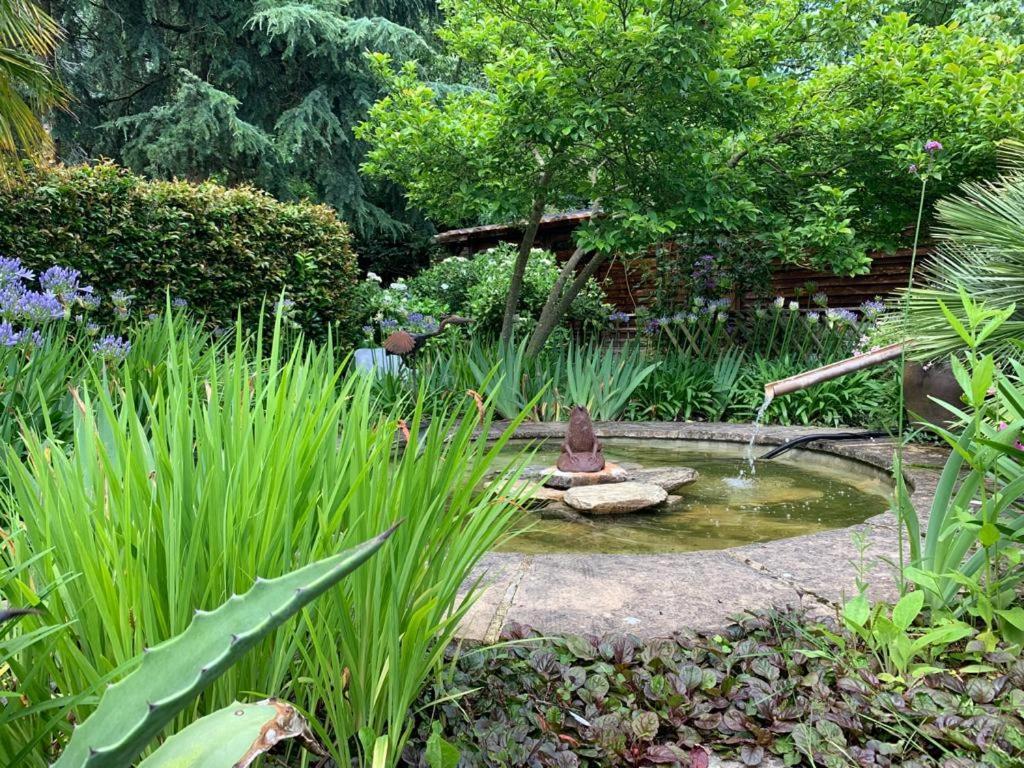 Maison En Pierre Dans Son Nid De Verdure Roz-Landrieux エクステリア 写真