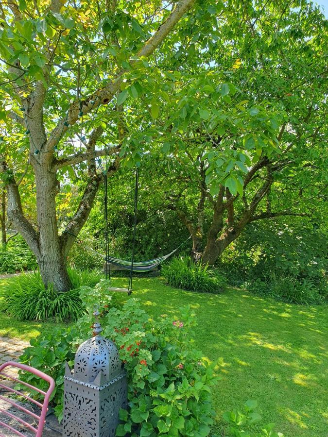 Maison En Pierre Dans Son Nid De Verdure Roz-Landrieux エクステリア 写真
