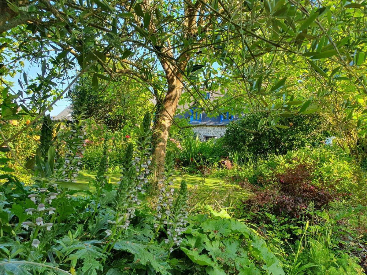 Maison En Pierre Dans Son Nid De Verdure Roz-Landrieux エクステリア 写真