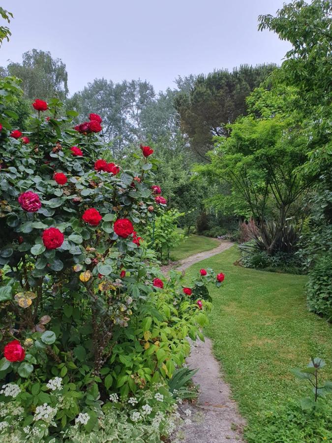 Maison En Pierre Dans Son Nid De Verdure Roz-Landrieux エクステリア 写真
